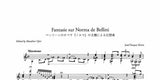【PDF楽譜】メルツ:ベッリーニのオペラ「ノルマ」の主題による幻想曲　（標準版メルツギター曲集5より）解説付き